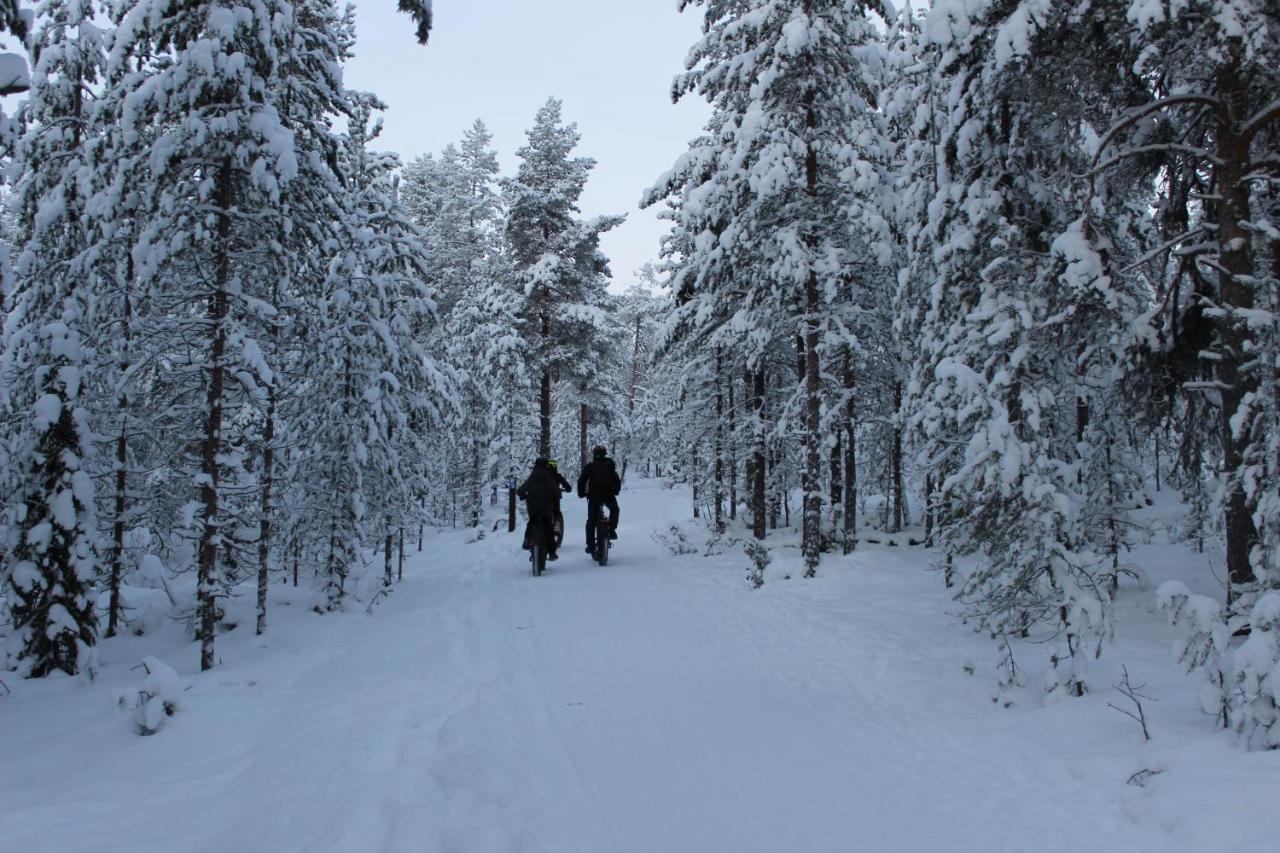 Studio Kaarto Rovaniemi Eksteriør billede